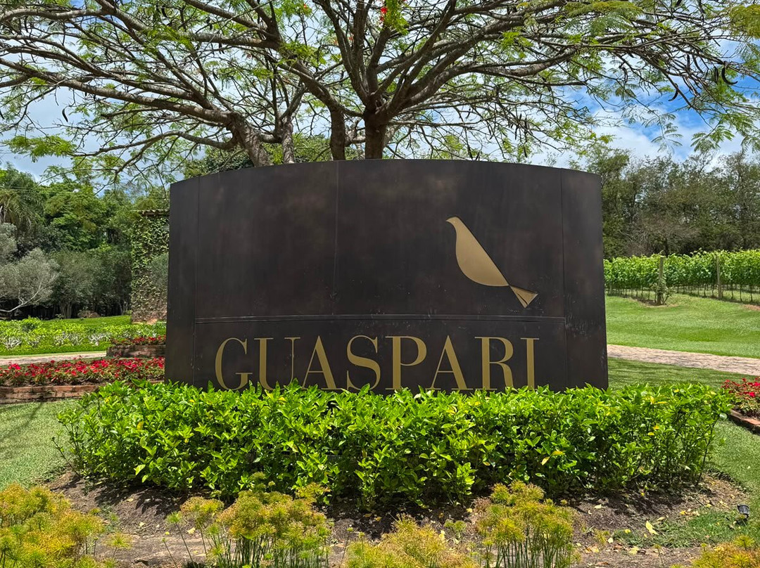 Vinícola Guaspari-Espirito Santo Do Pinhal必去景点