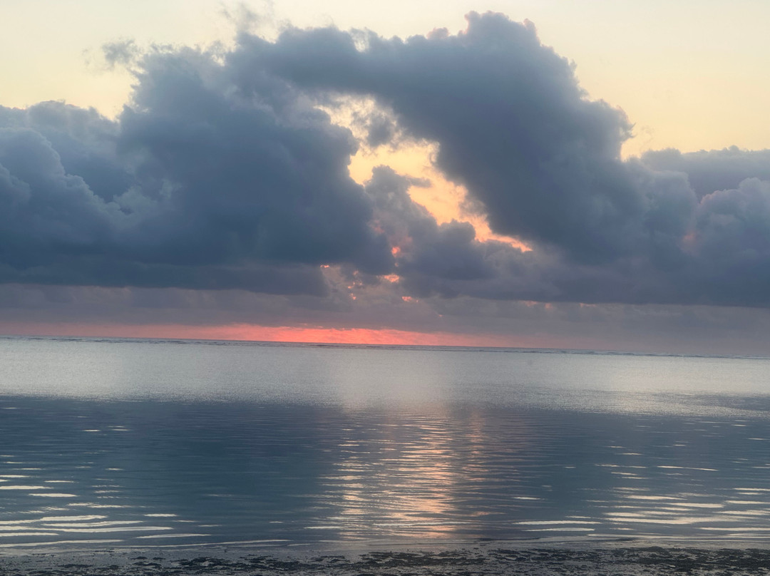 Adler Tours & Safaris-杰拉果德必去景点