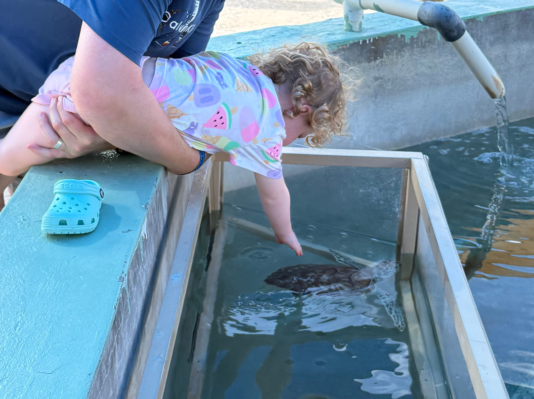 Cayman Turtle Centre: Island Wildlife Encounter-西湾必去景点