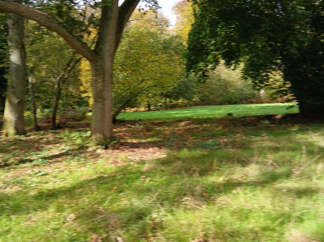 Bradenham Manor