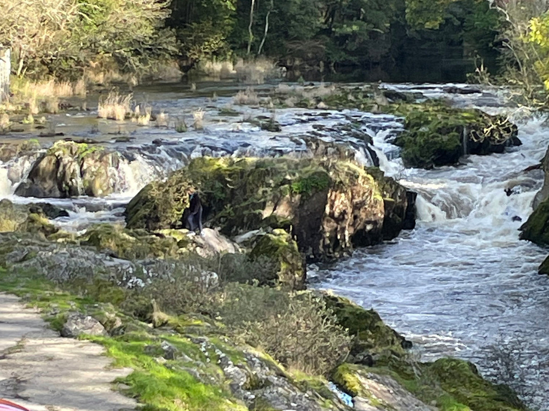 Cenarth Falls-Cenarth必去景点