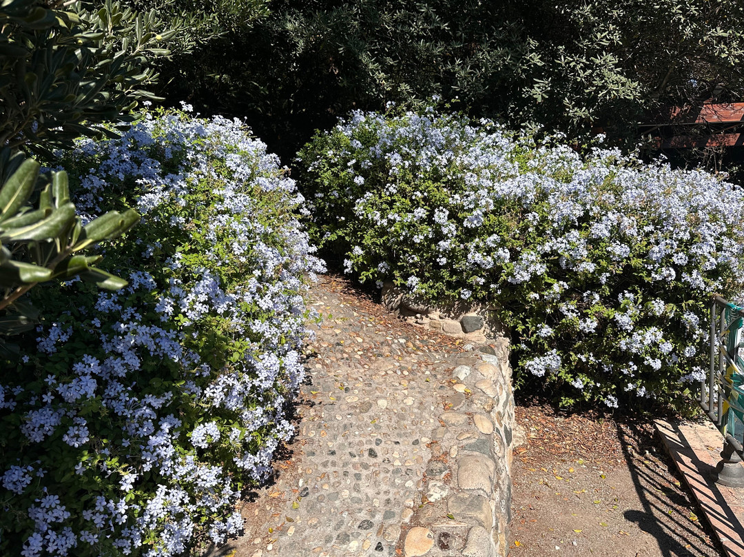 Jardín Botánico Histórico La Concepción-马拉加必去景点