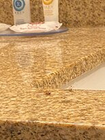 Comfort Inn PA Turnpike - I-81主图