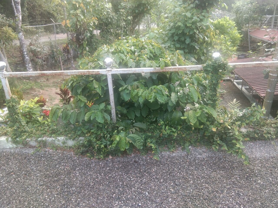 Escape Valparai - Deepikas Residence, Sholayar DAM