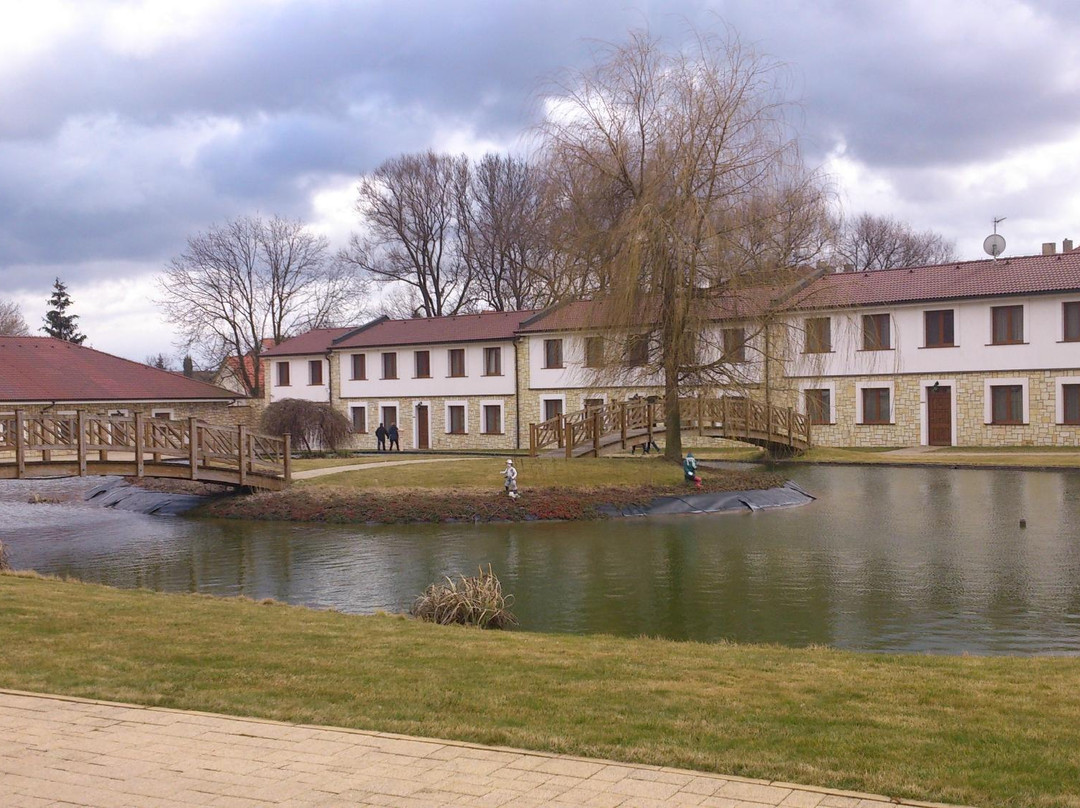 Hotel Lions Nesuchyne
