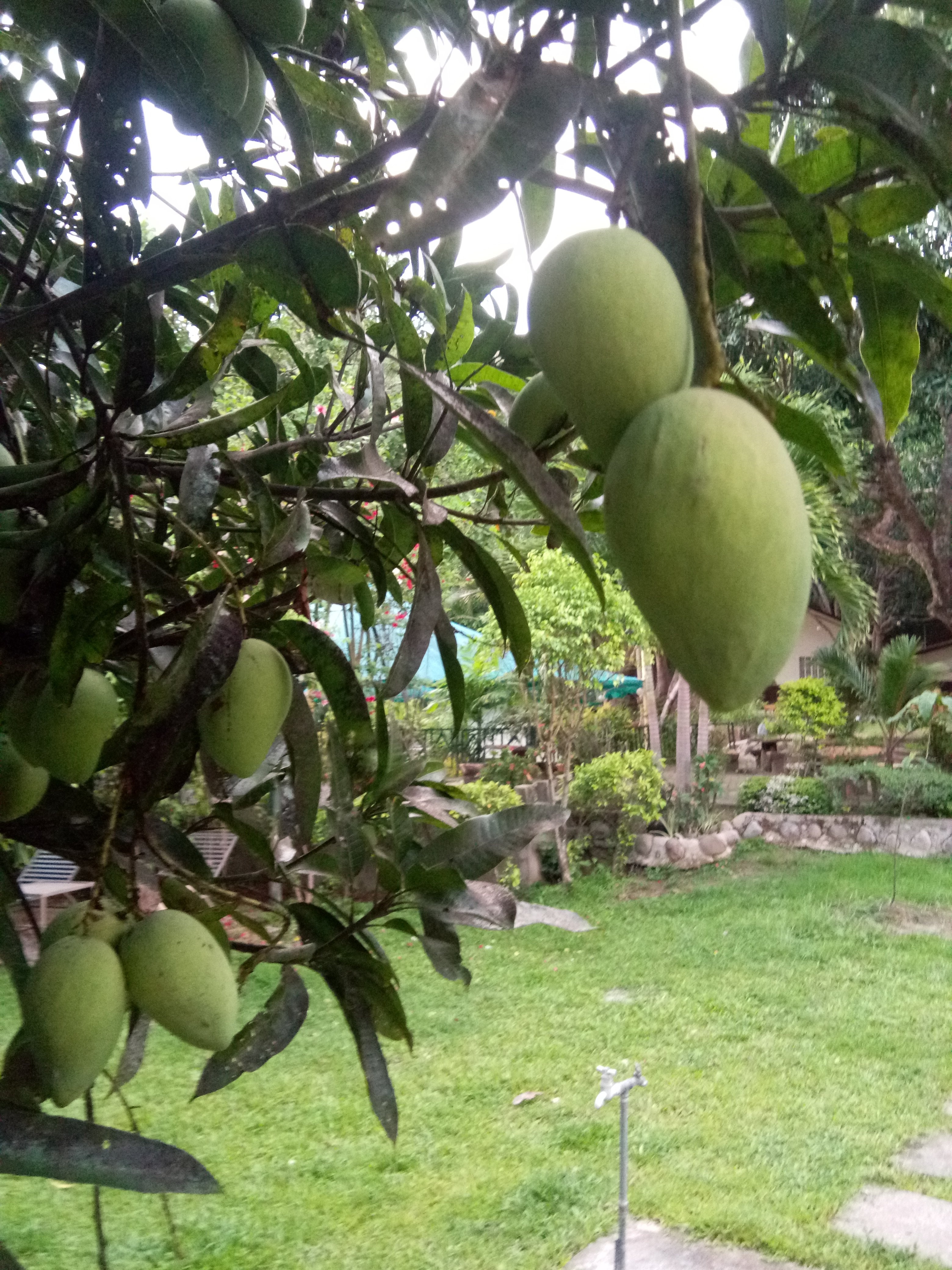 Areiv Farm & Eco Resort-官方
