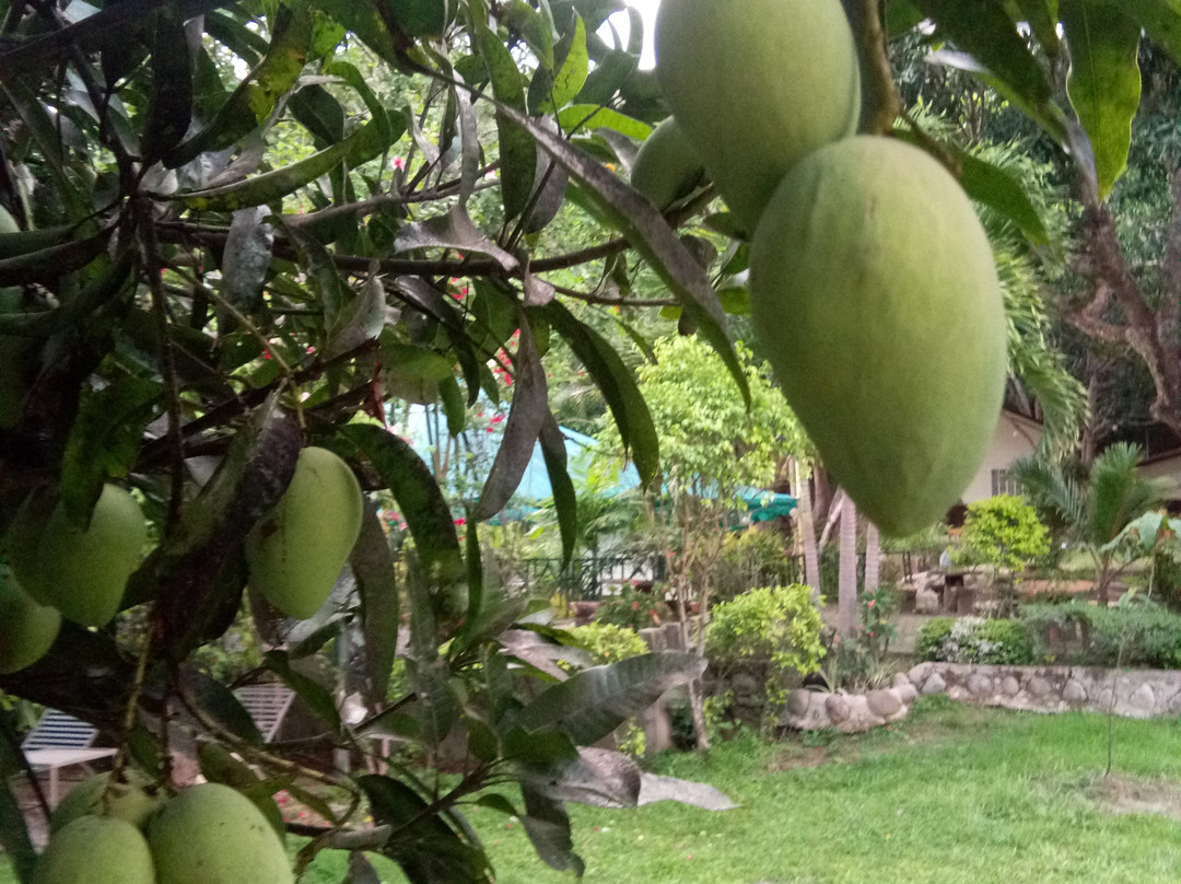 Bauang酒店住宿-Areiv Farm & Eco Resort