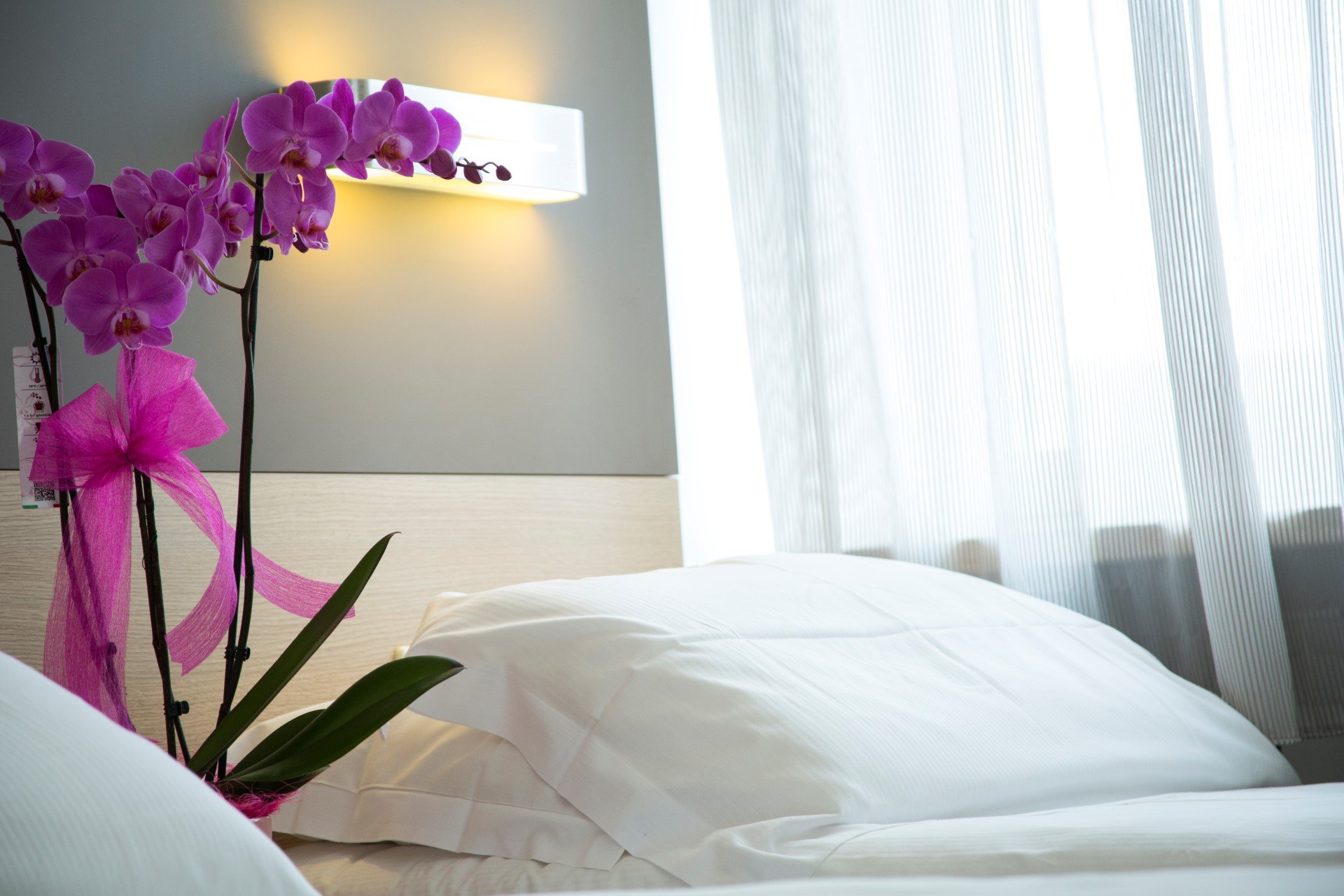 Hotel Delle Rose-官方