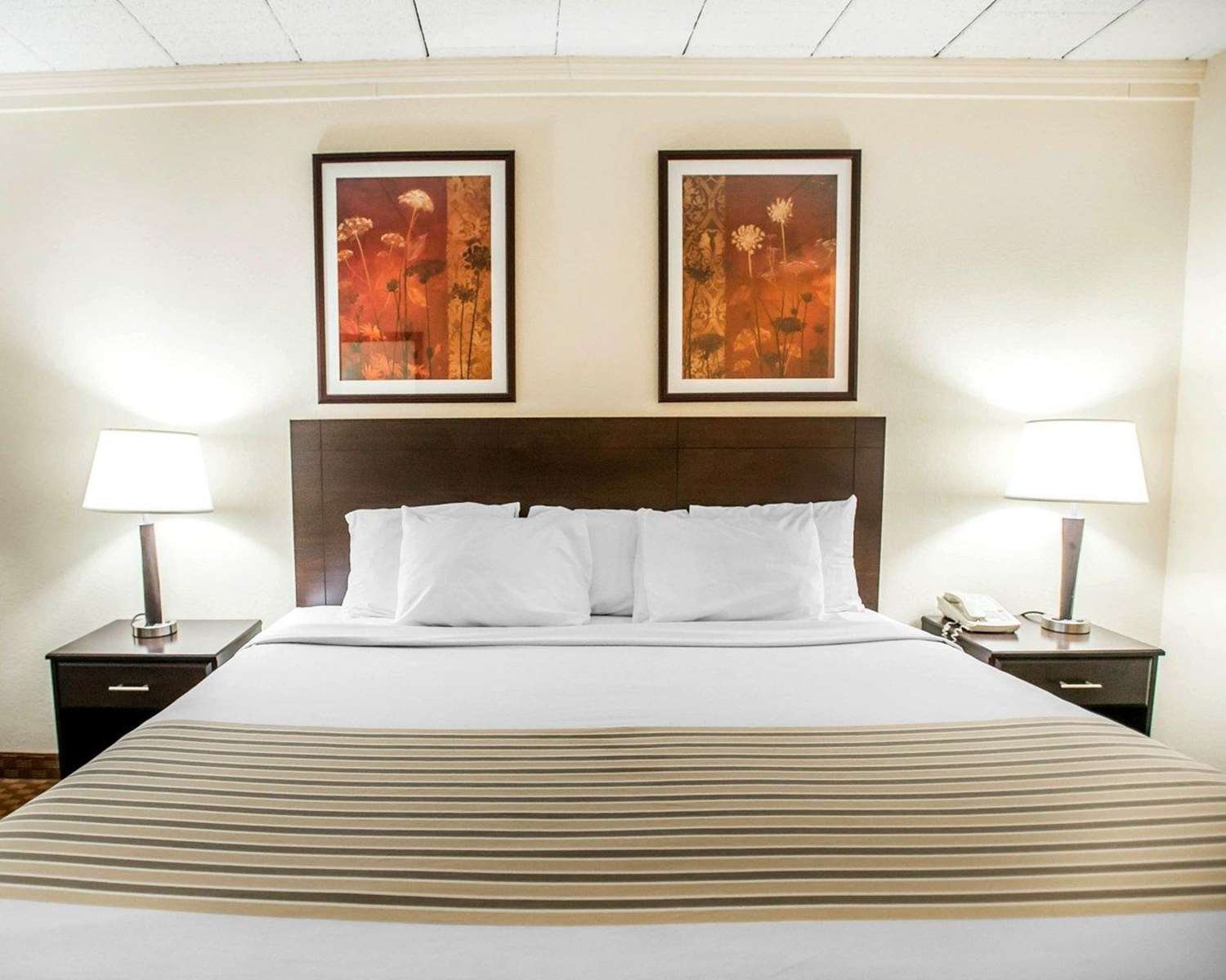 Econo Lodge & Suites-官方