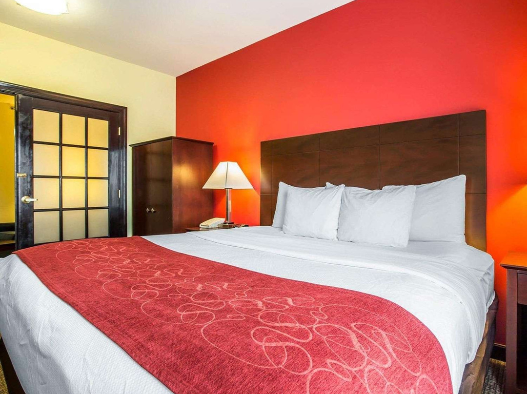 Comfort Suites Rock Hill Manchester Meadows Area主图