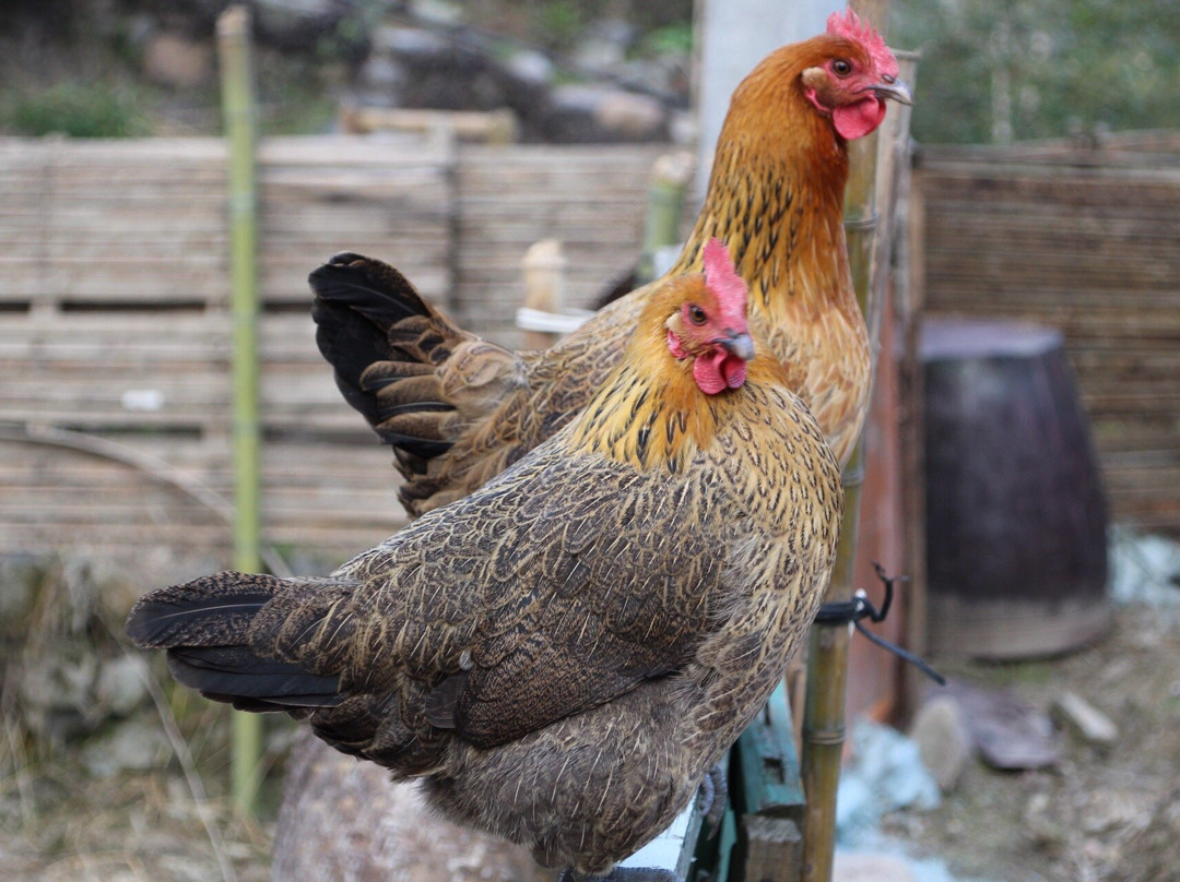 湖州碧坞龙潭-德清县必去景点