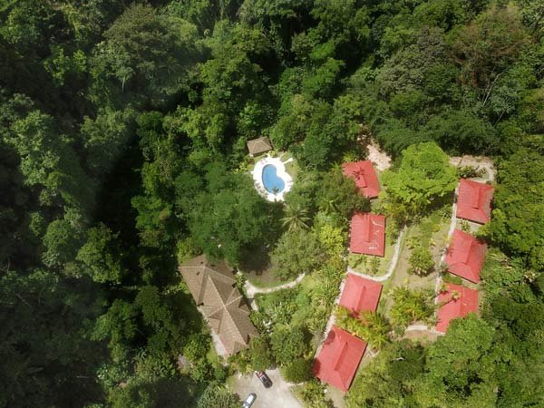 Esquinas Rainforest Lodge-官方