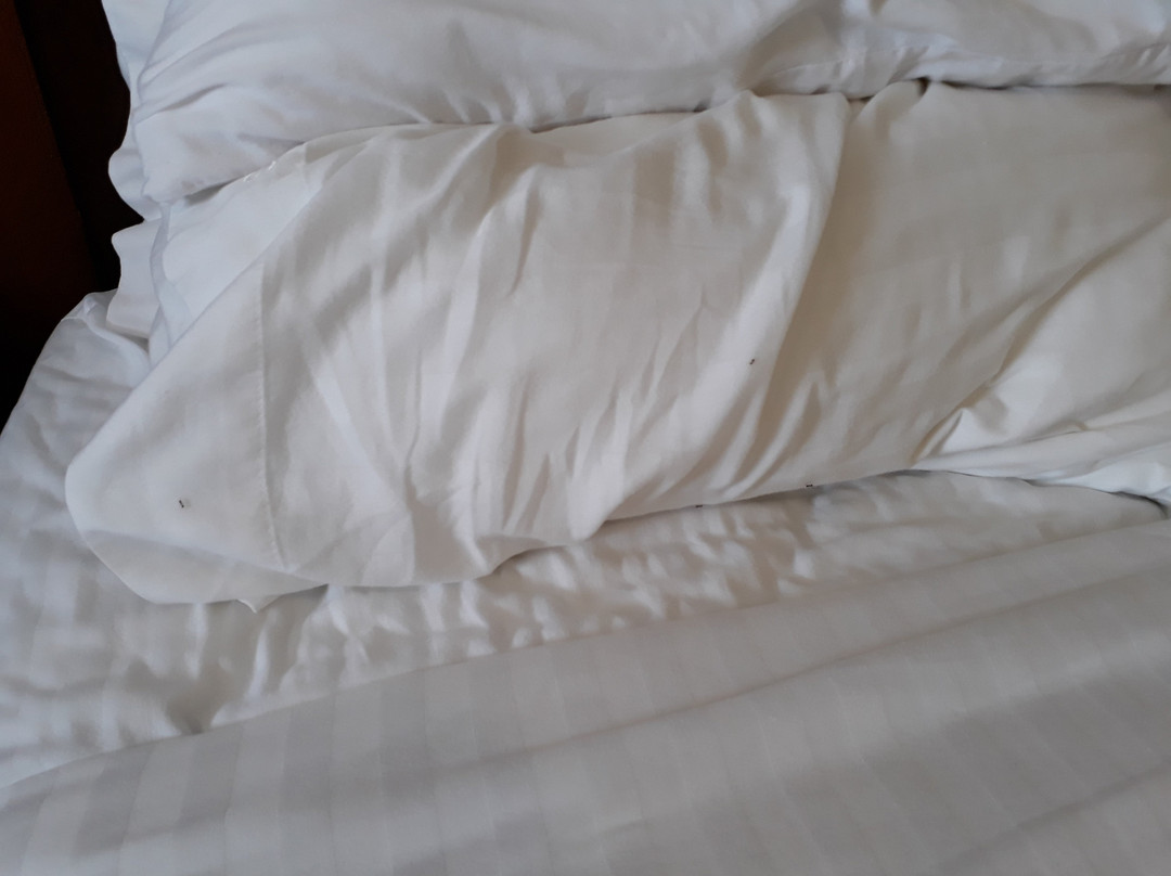 Holiday Inn Express & Suites Houston West - Katy, an IHG hotel