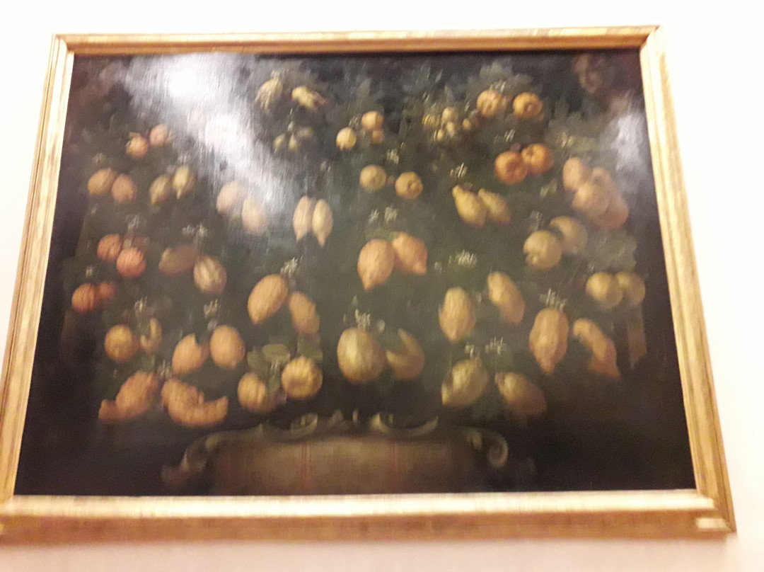 Museo della Natura Morta