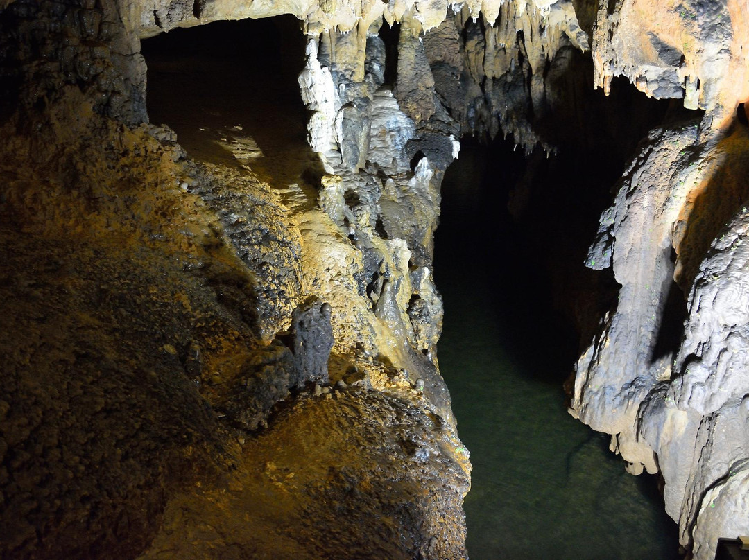 Vadu Crisului Cave景点图片