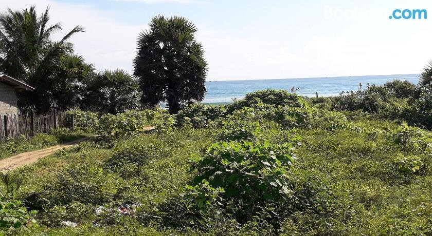 Whisky Point Beach Room And Hostel