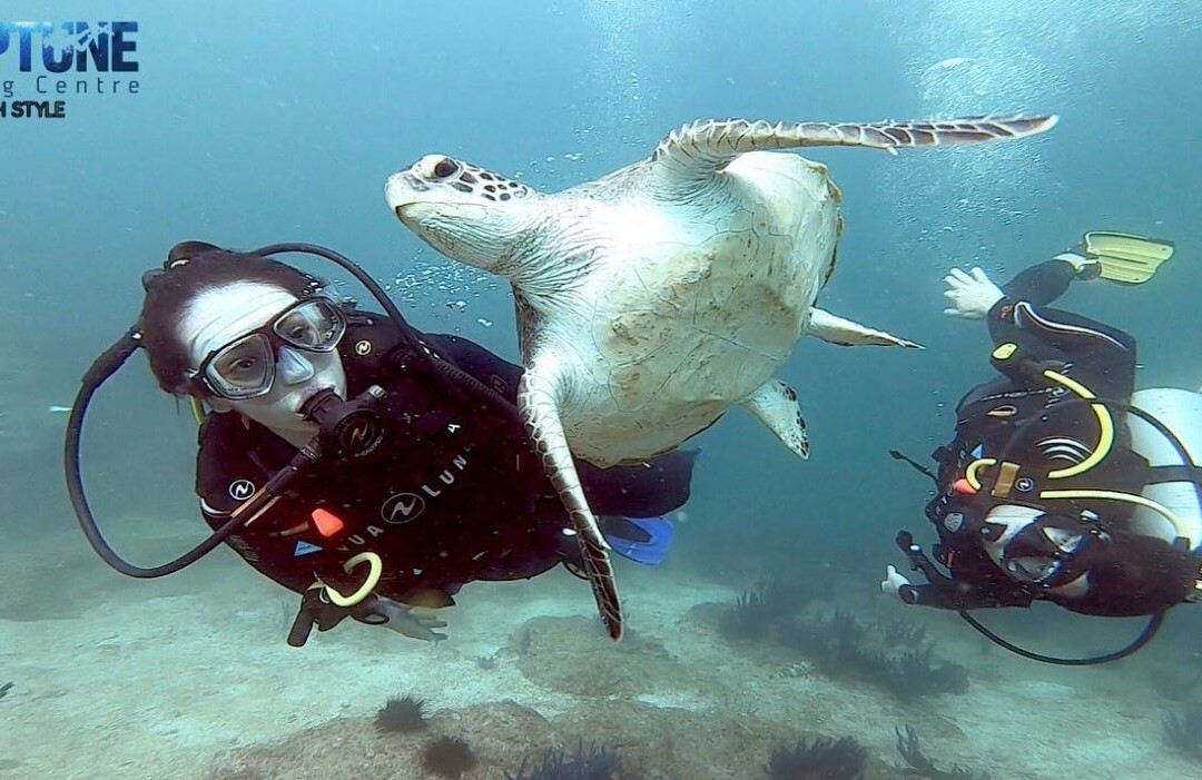 Neptune Diving Center-Dibba Al Fujairah必去景点