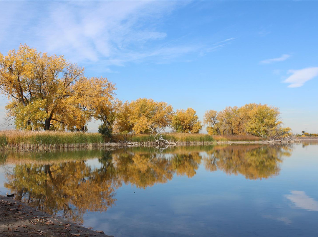 Rocky Mountain Arsenal National Wildlife Refuge景点图片