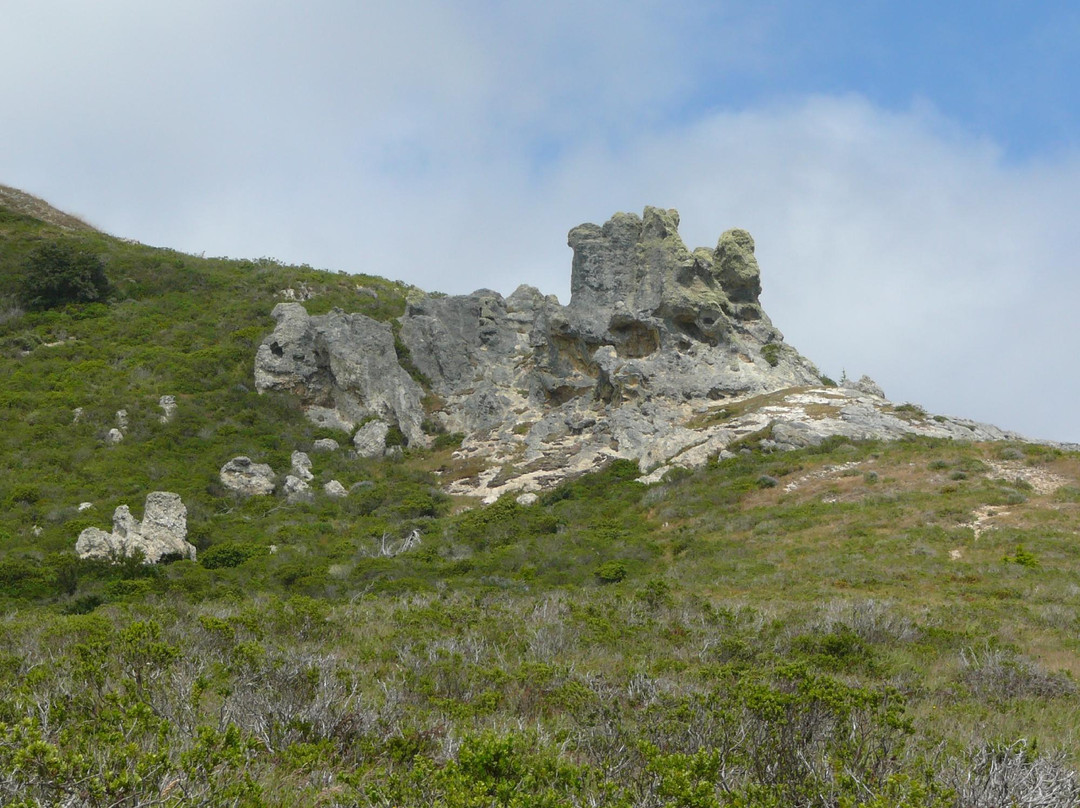 Woodward Valley Trail景点图片