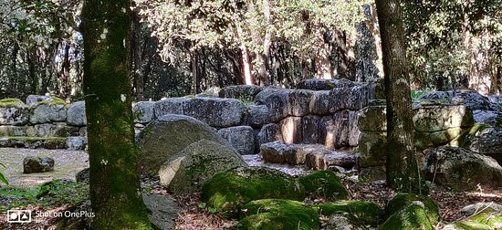 Parco Archeologico e Naturalistico del Bosco Seleni景点图片