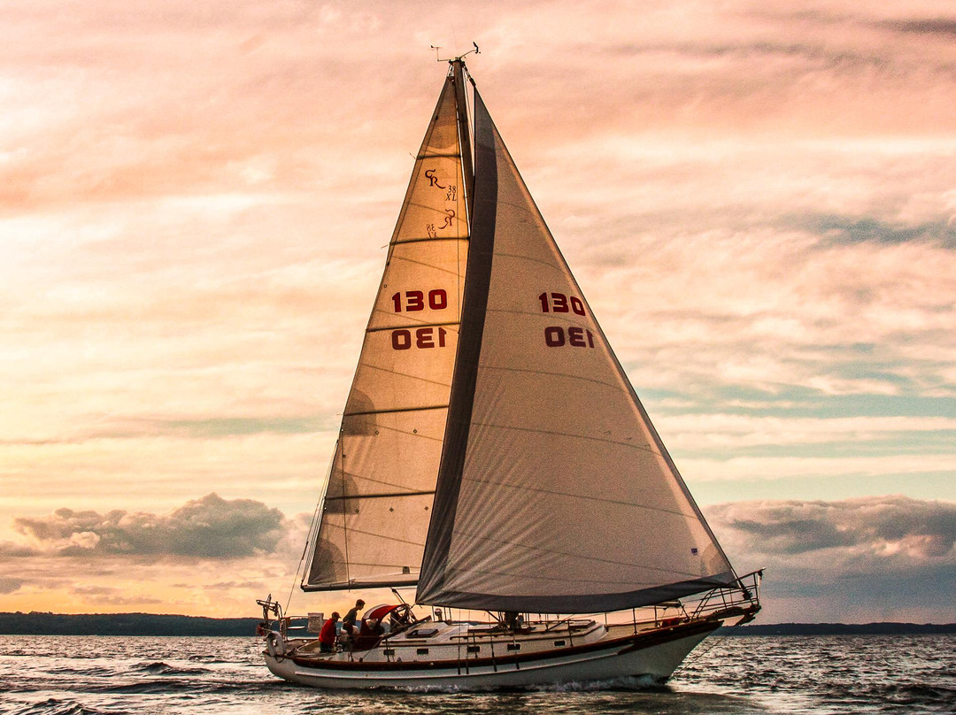 Sailing Yacht Scout - Day Tours景点图片