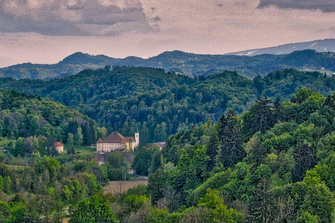 Vino Valdhuber