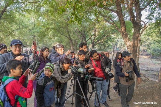 Wildnest Travel & Photography-孟买必去景点