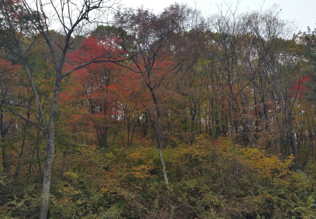 五女峰国家森林公园-通化市必去景点