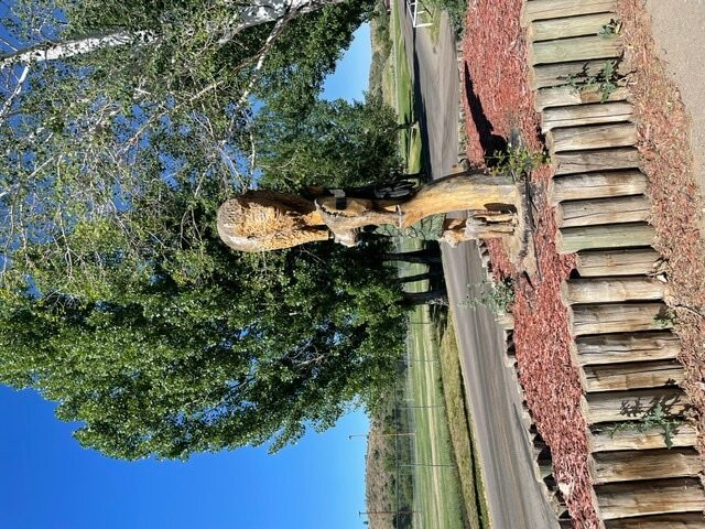 Loudy-Simpson Park-Craig必去景点