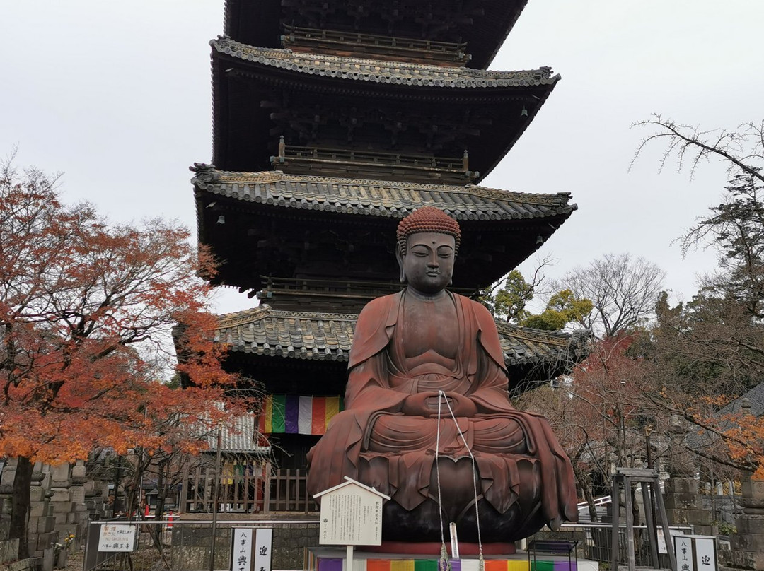 Yagoto-san Kosho-ji Temple景点图片