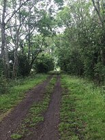 Hornsea Rail Trail-Hornsea必去景点