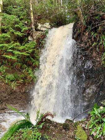 Rock Sitting Creek Waterfall-Skidegate必去景点
