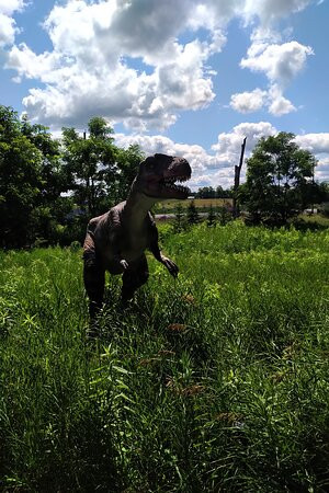 Canada's Dinosaur Park景点图片