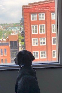 Springhill Suites Denver Downtown-客卧