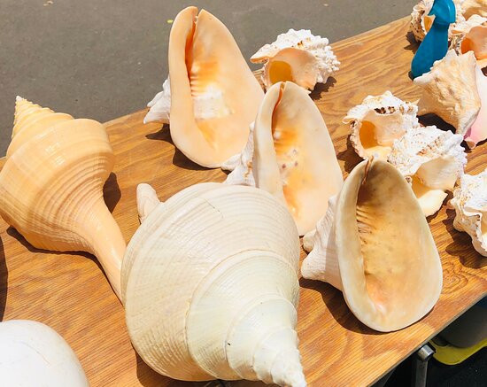 Haleiwa Shell Stand-哈雷瓦必去景点