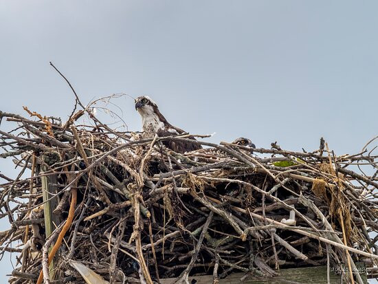 JK Kayak & Sup-Cold Spring Harbor必去景点