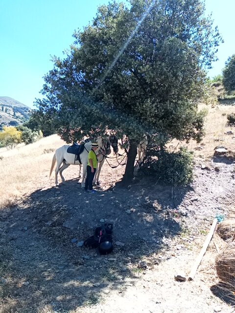 Las Encinillas Rutas a Caballo景点图片