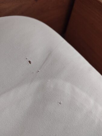 Sheraton Vitoria Hotel主图