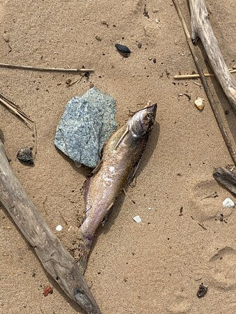 Deemers Beach-New Castle必去景点