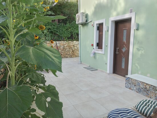 Il Viaggio Verde主图