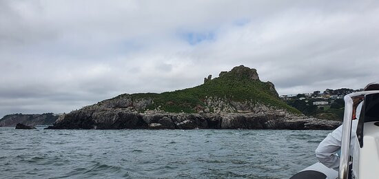 South West Rib Rides-布里克瑟姆必去景点