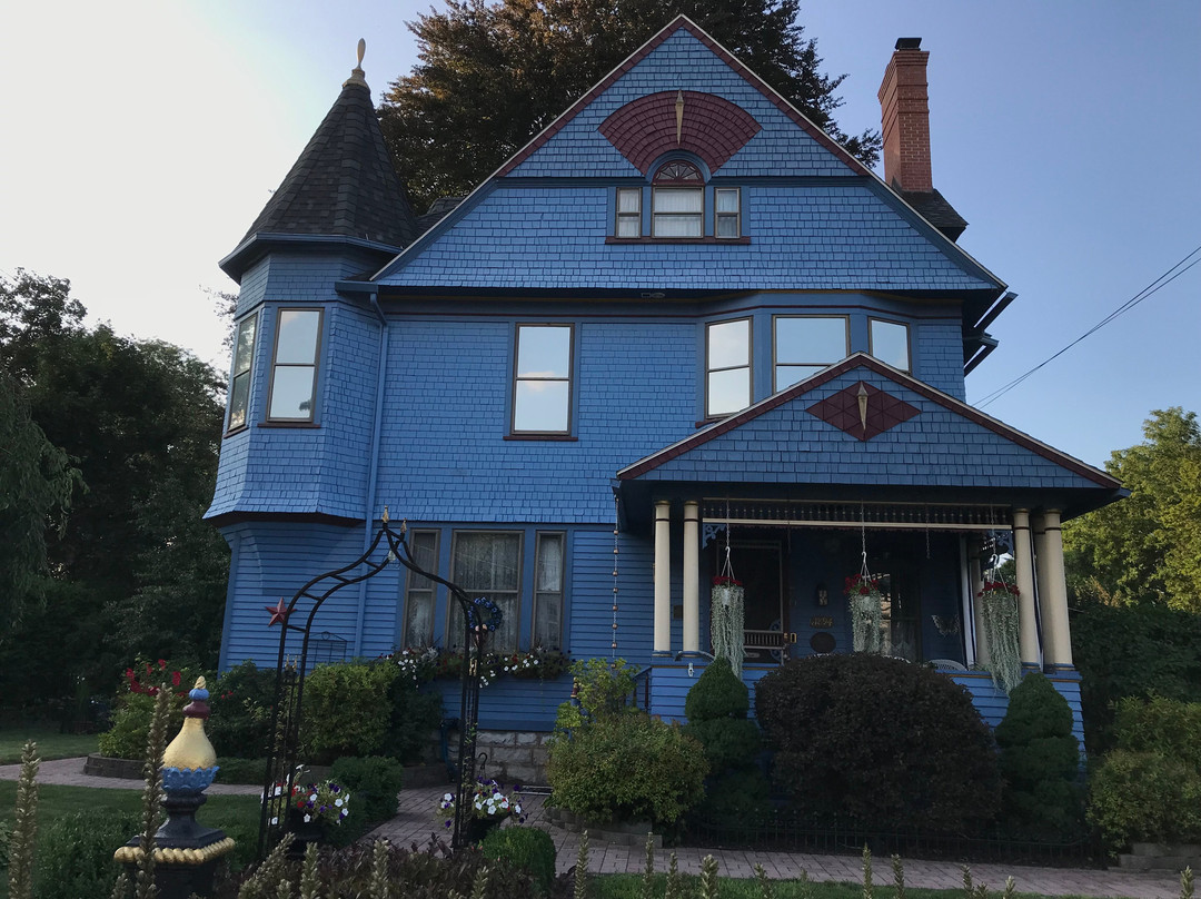 Blue Rose Bed and Breakfast