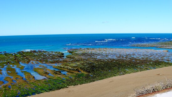 Punta Norte-Province of Chubut必去景点