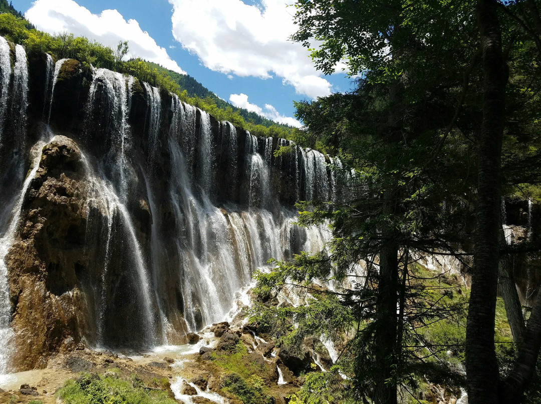 莘县旅游攻略图片