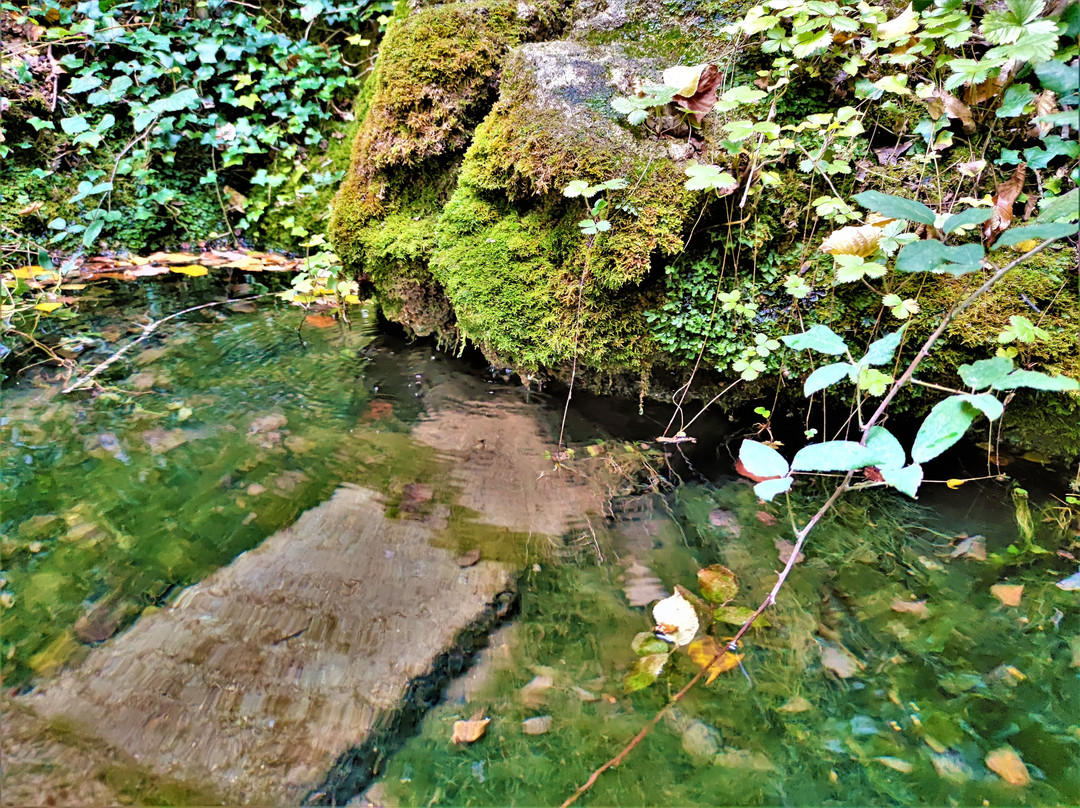 Fontaine Saint Hilaire De 86220 Leugny景点图片