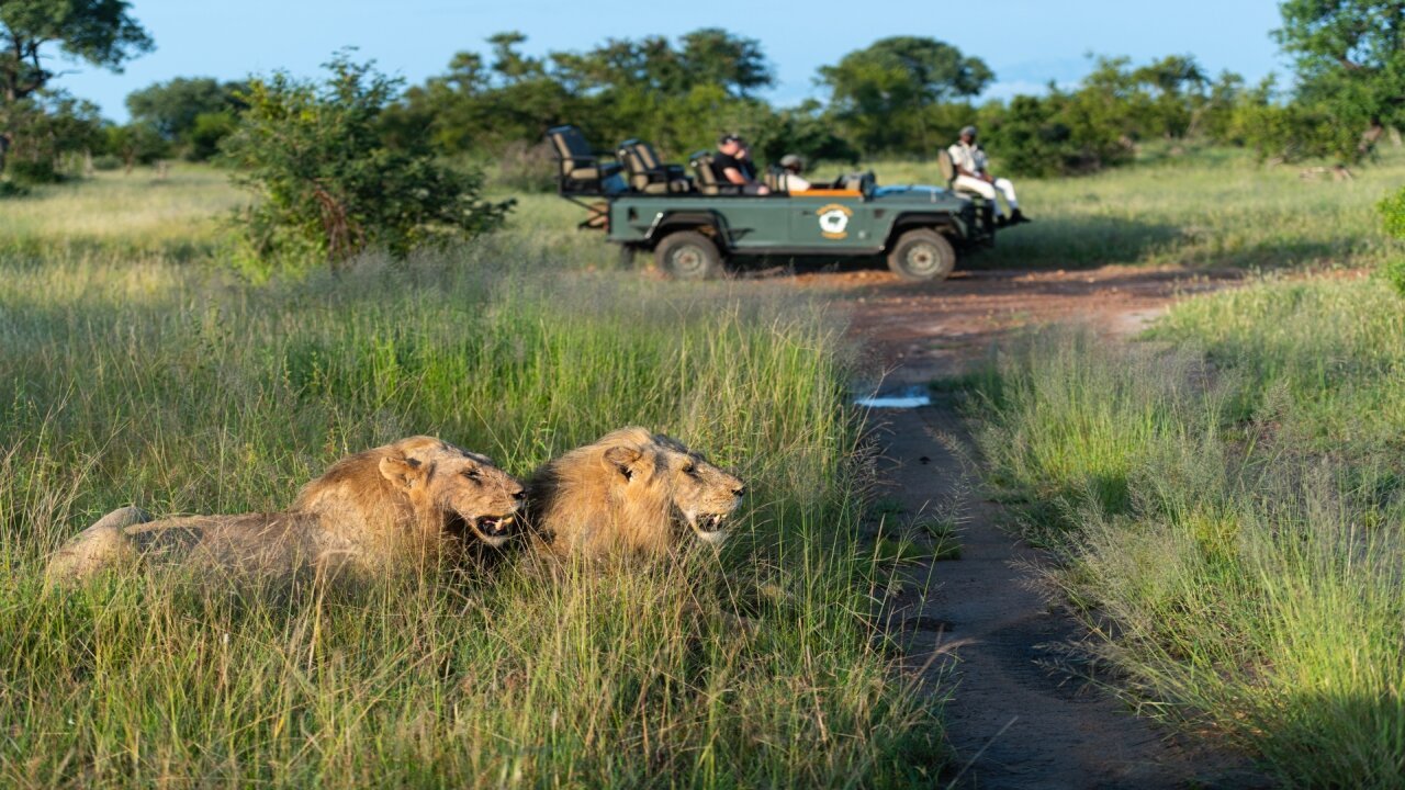 Kambaku Safari Lodge-官方
