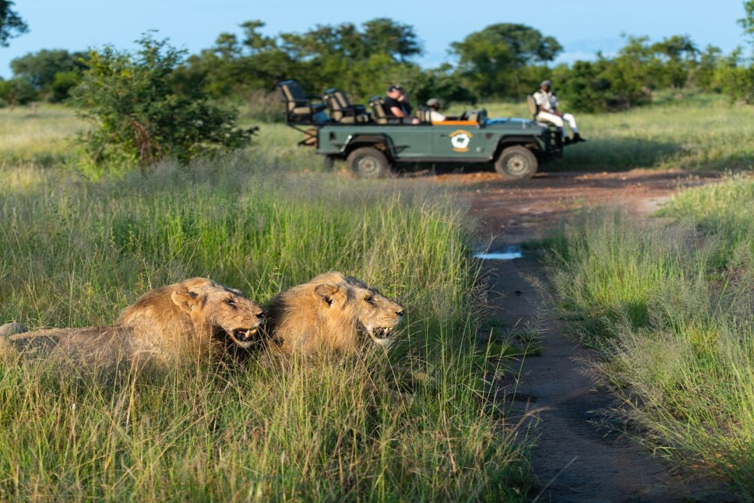 Kambaku Safari Lodge主图