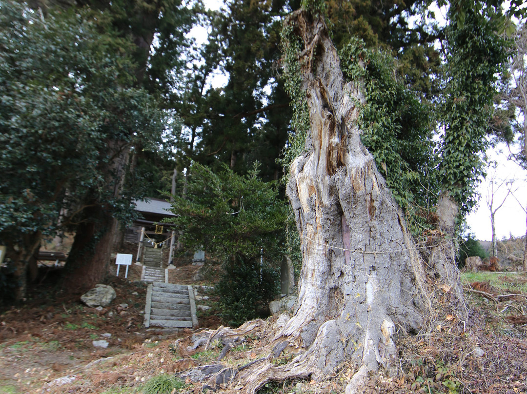 Takamiya Shrine景点图片