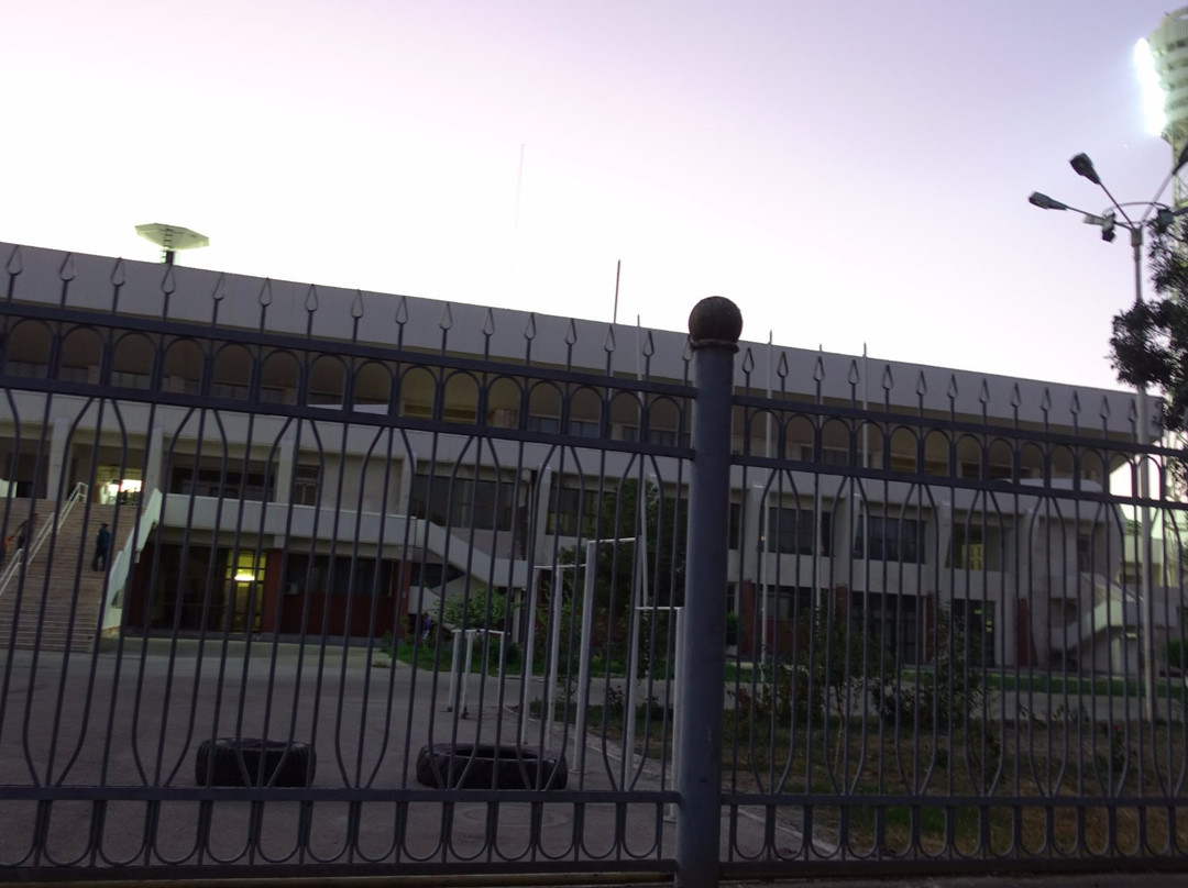 Stadium Bukhara Arena-布哈拉必去景点