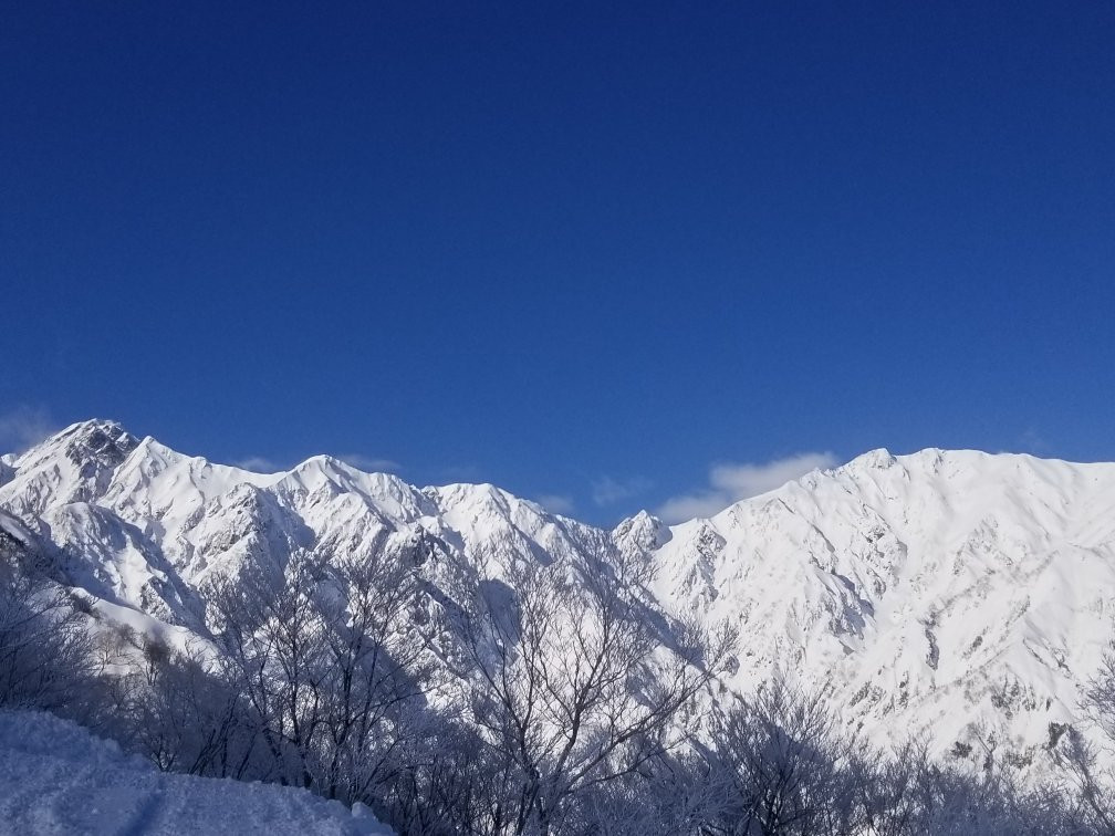 Hakuba 47 Winter Sports Park景点图片